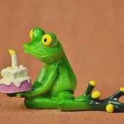 GreenQ bday
